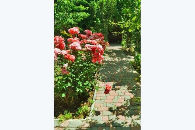 Гостиница Памир Судак-7