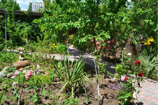 Гостиница Памир Судак-11